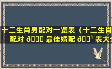 十二生肖男配对一览表（十二生肖配对 🐋 最佳婚配 🌹 表大全）